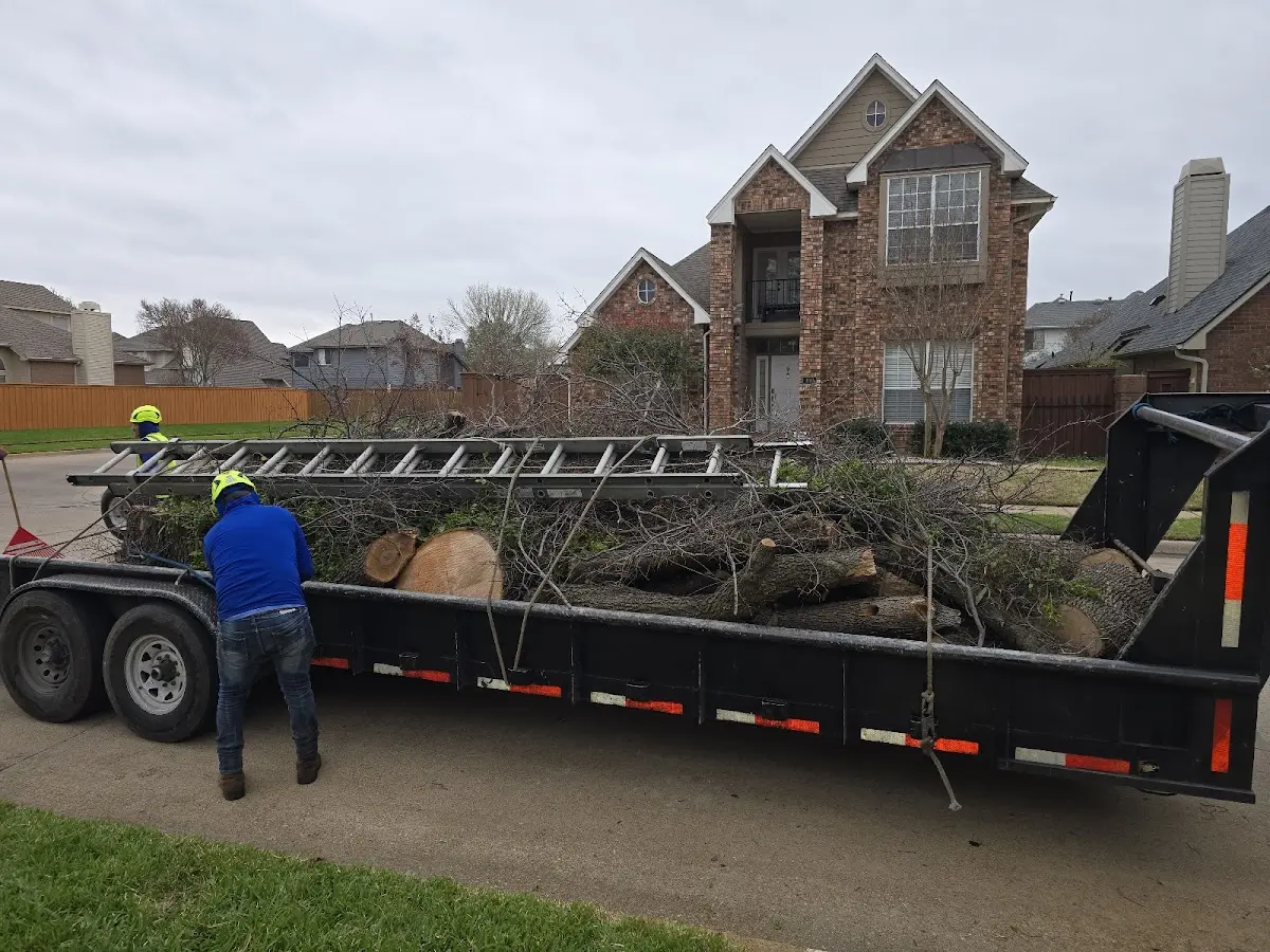 Expert Lot Clearing with proper safety equipment in Kendall